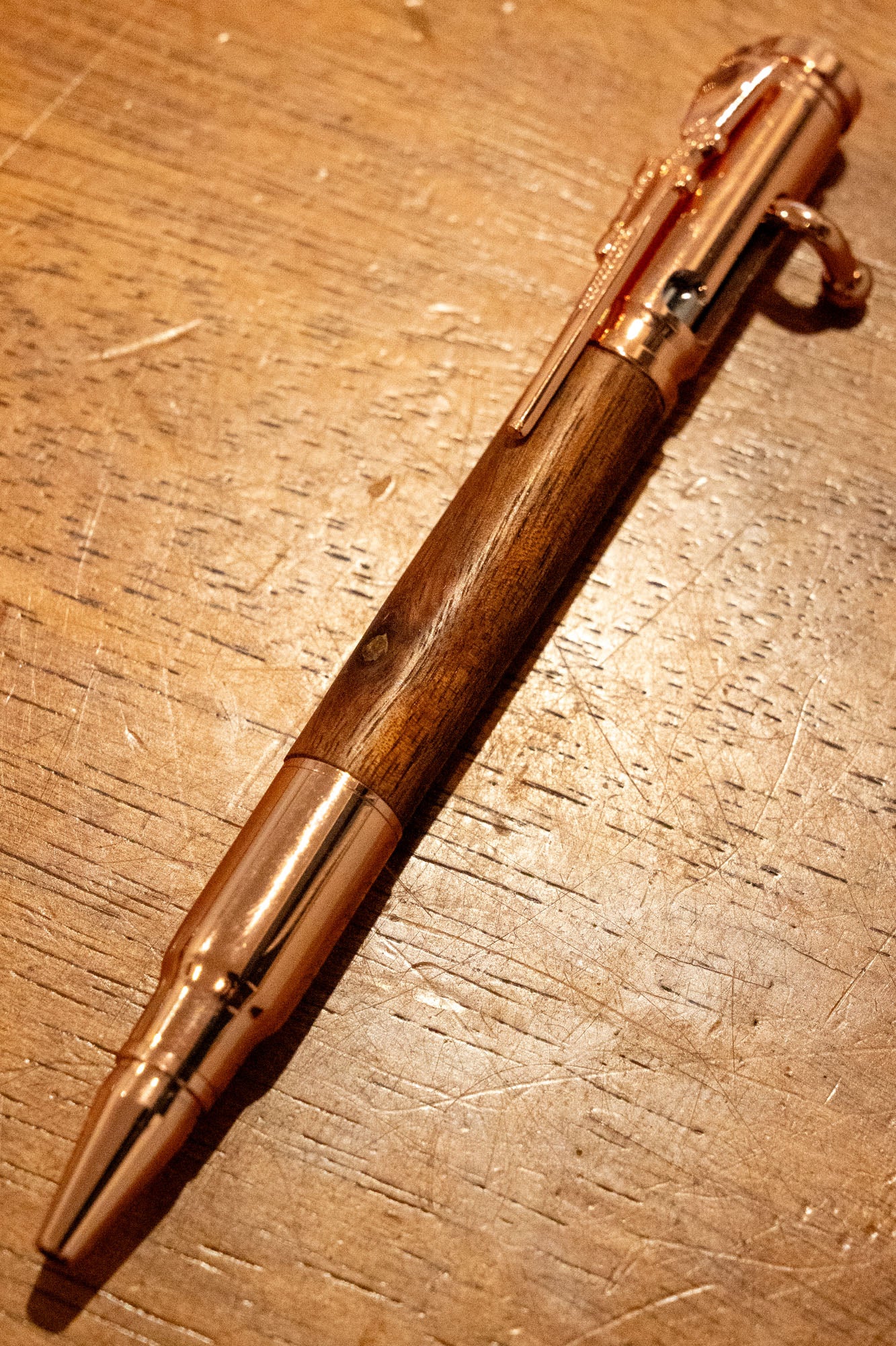 Bolt Action 9 (Camphor Laurel)