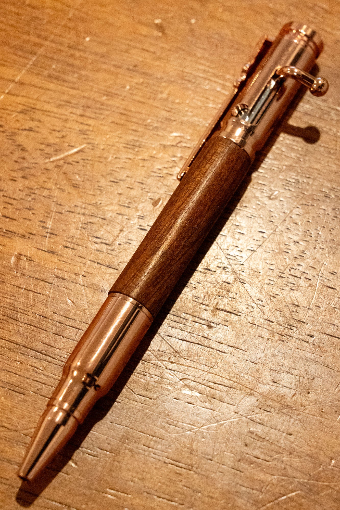 Bolt Action 10 (Camphor Laurel)